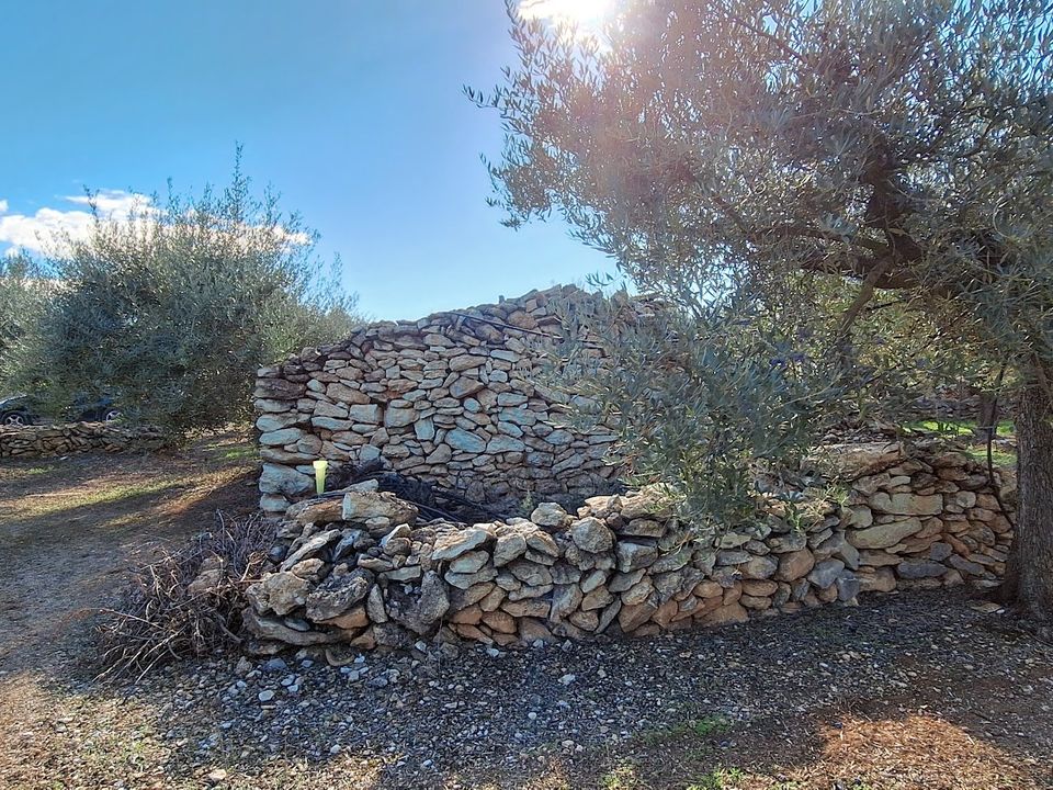 Finca i Tivissa, Tarragona - bilde 2